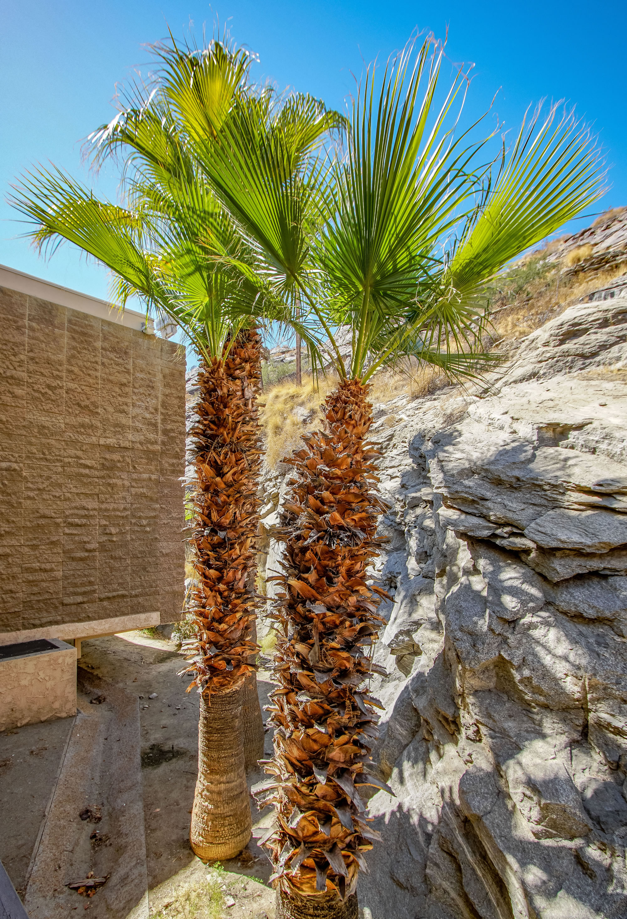 Palm Springs Tennis Club — photo 42 of 49