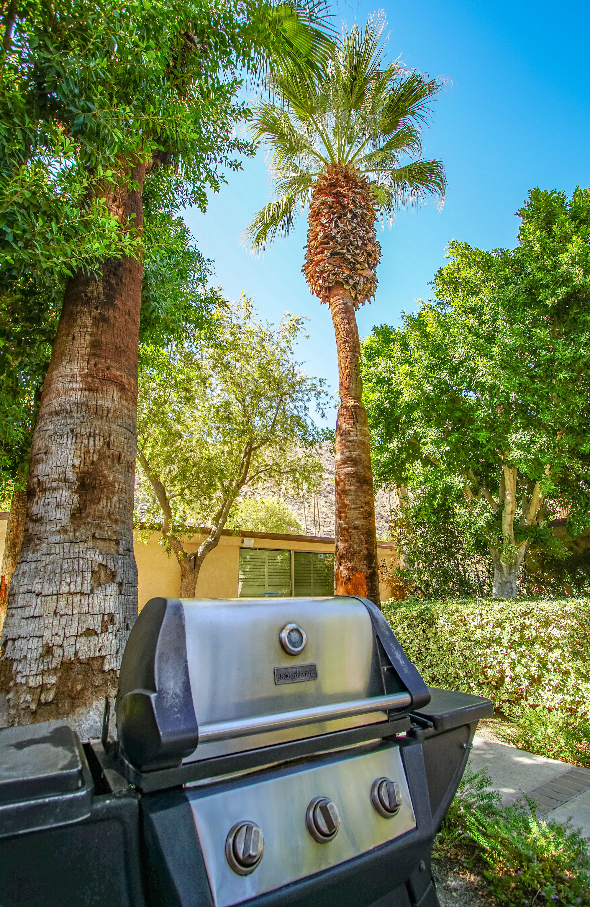 A serene outdoor space with lush greenery, palm trees, and a tan building in the background.
