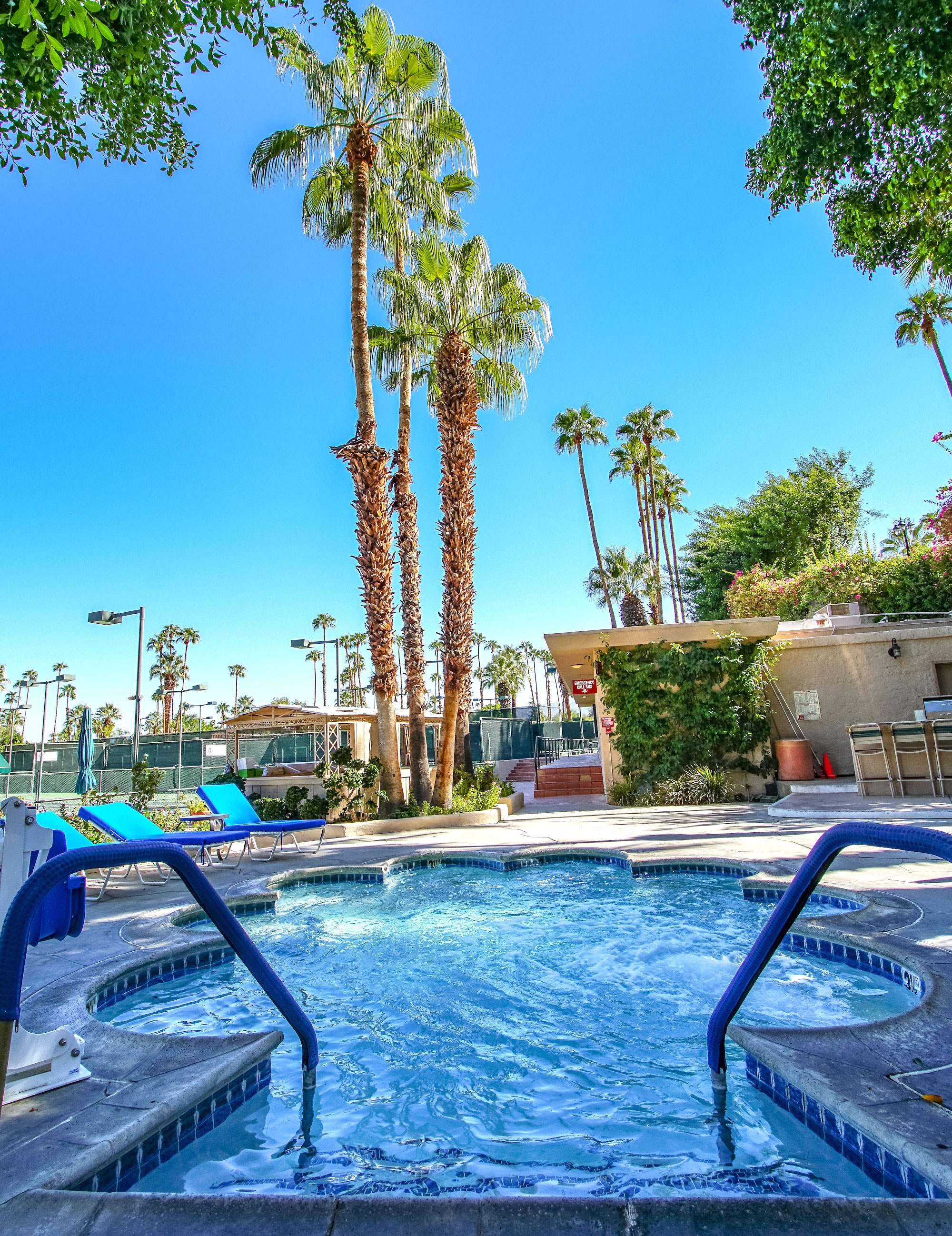 A swimming pool with lounge chairs and palm trees in the background under a clear blue sky.