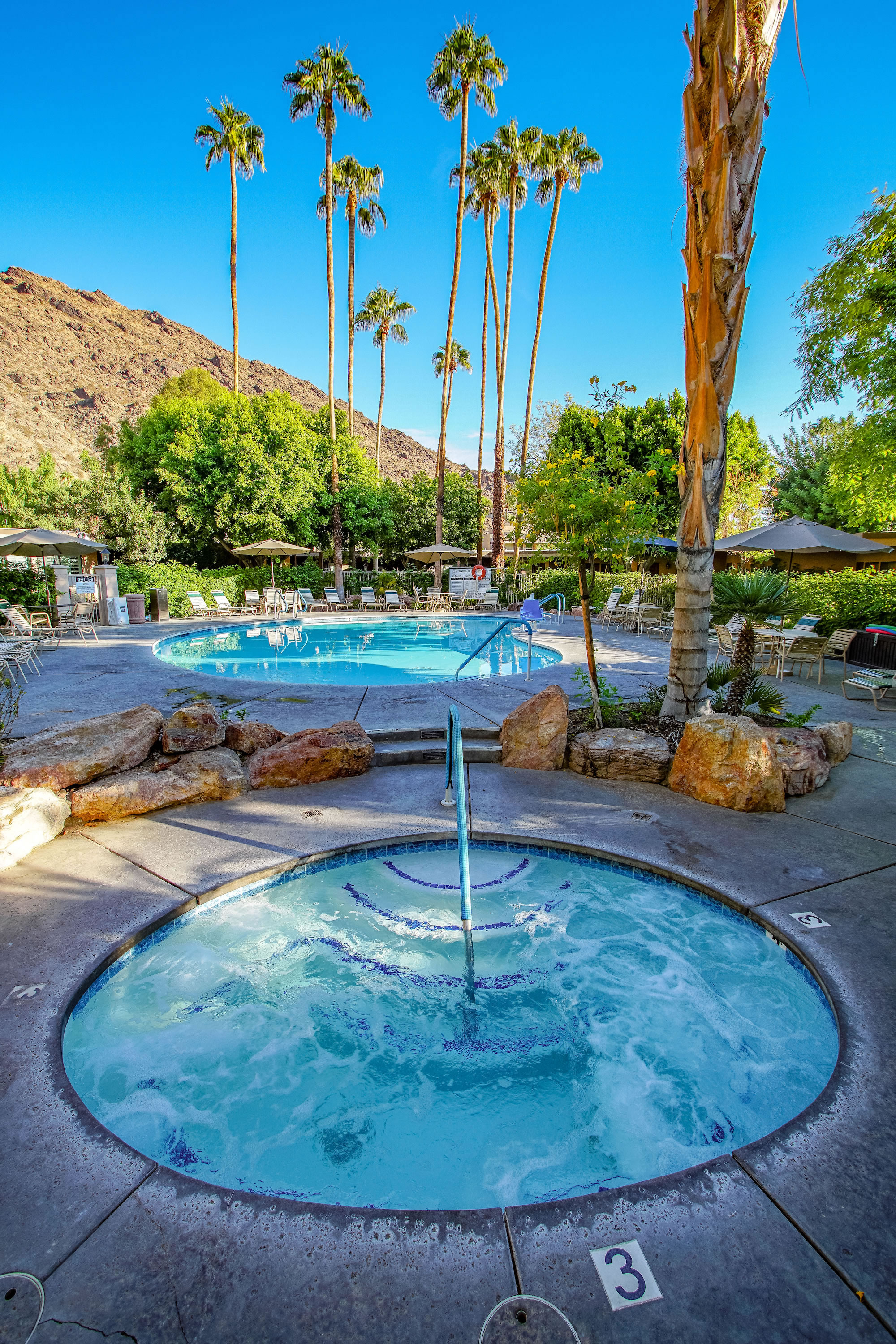 A kidney-shaped pool and hot tub surrounded by lounge chairs, palm trees, and a mountain view.