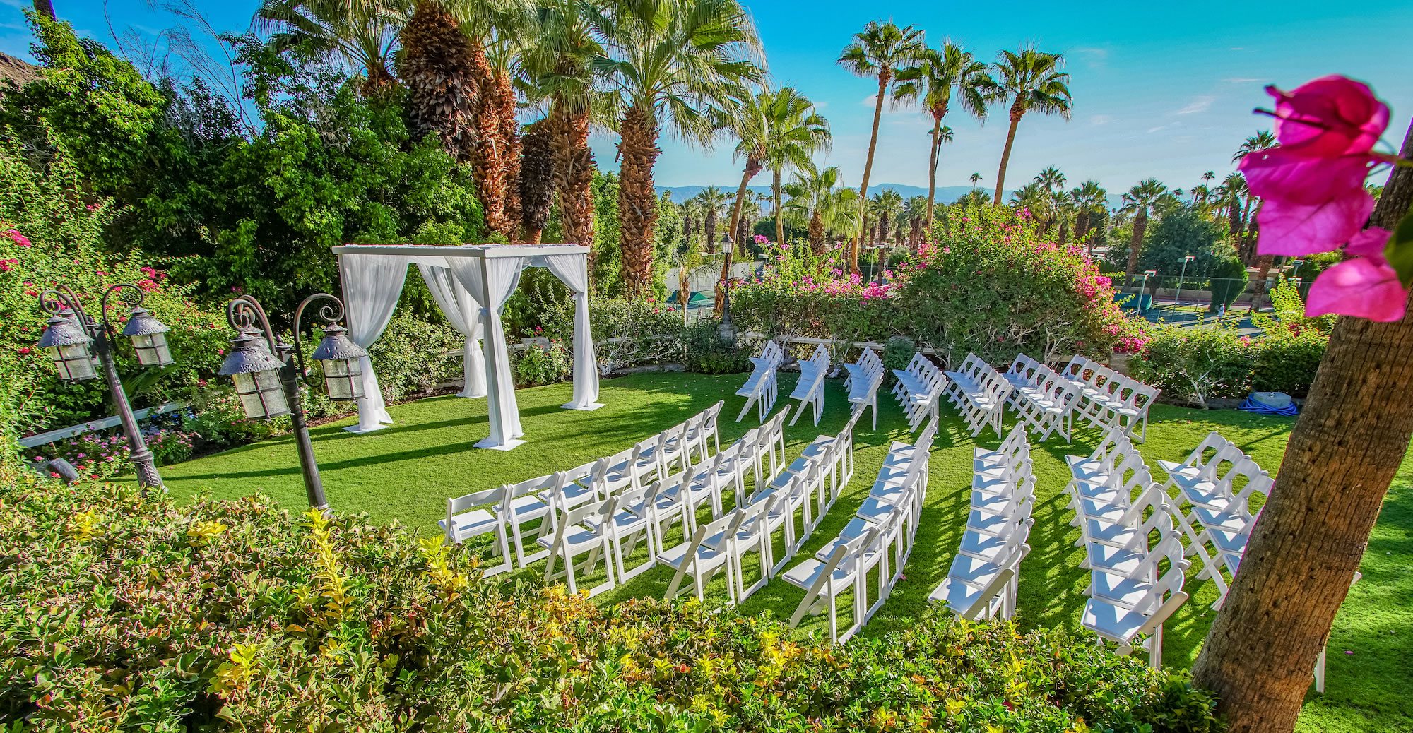 An outdoor event space with white chairs arranged in rows, a white archway, and palm trees in the background.
