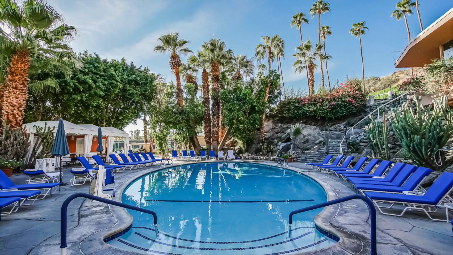 Photo of Swimming Area surrounded by blue chairs, cabanas and palm trees